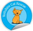Yorkshire Cat Rescue